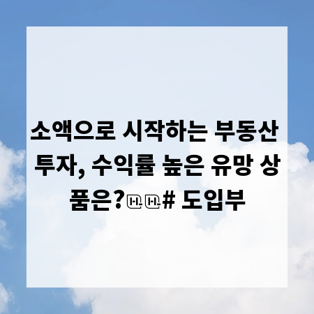소액으로 시작하는 부동산 투자, 수익률 높은 유망 상품은?
# 도입부