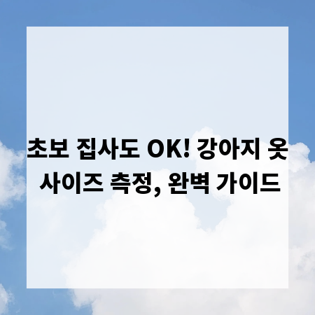 초보 집사도 OK! 강아지 옷 사이즈 측정, 완벽 가이드