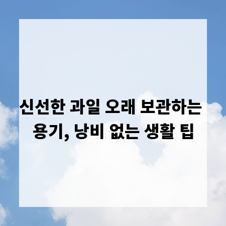 신선한 과일 오래 보관하는 용기, 낭비 없는 생활 팁