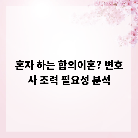 혼자 하는 합의이혼? 변호사 조력 필요성 분석