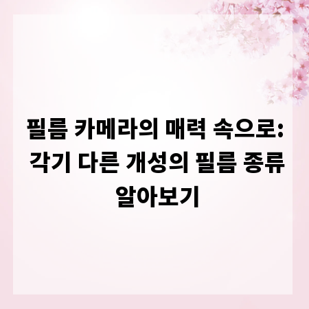 필름 카메라의 매력 속으로: 각기 다른 개성의 필름 종류 알아보기