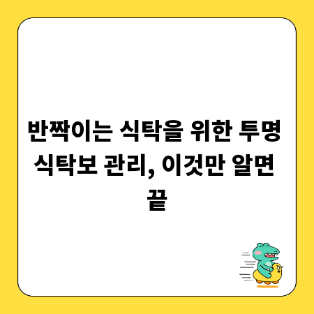 반짝이는 식탁을 위한 투명 식탁보 관리, 이것만 알면 끝