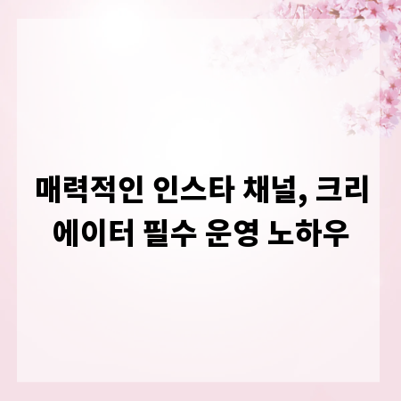매력적인 인스타 채널, 크리에이터 필수 운영 노하우