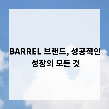 BARREL 브랜드, 성공적인 성장의 모든 것