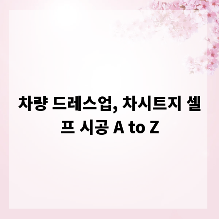 차량 드레스업, 차시트지 셀프 시공 A to Z