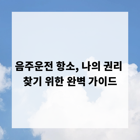 음주운전 항소, 나의 권리 찾기 위한 완벽 가이드