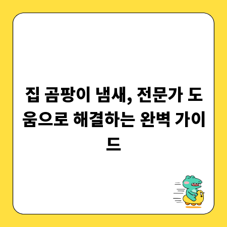 집 곰팡이 냄새, 전문가 도움으로 해결하는 완벽 가이드
