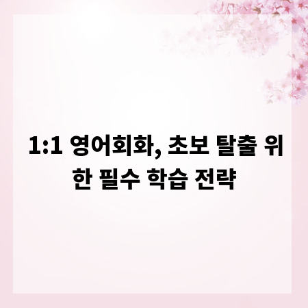 1:1 영어회화, 초보 탈출 위한 필수 학습 전략