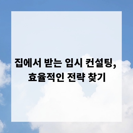 집에서 받는 입시 컨설팅, 효율적인 전략 찾기