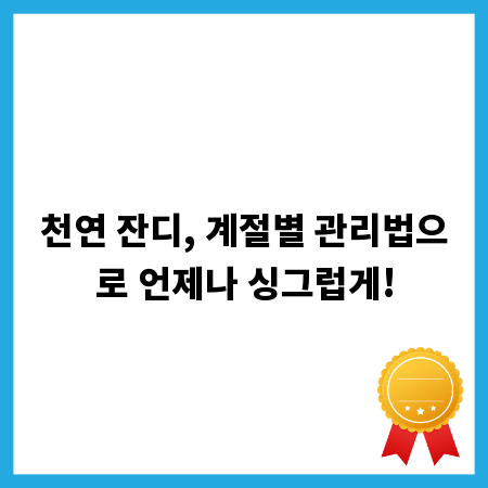 천연 잔디, 계절별 관리법으로 언제나 싱그럽게!