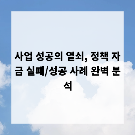 사업 성공의 열쇠, 정책 자금 실패/성공 사례 완벽 분석