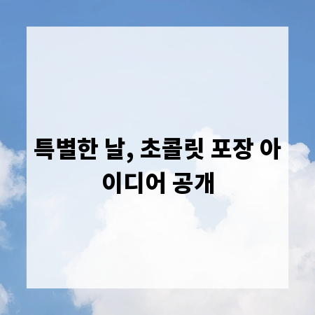 특별한 날, 초콜릿 포장 아이디어 공개