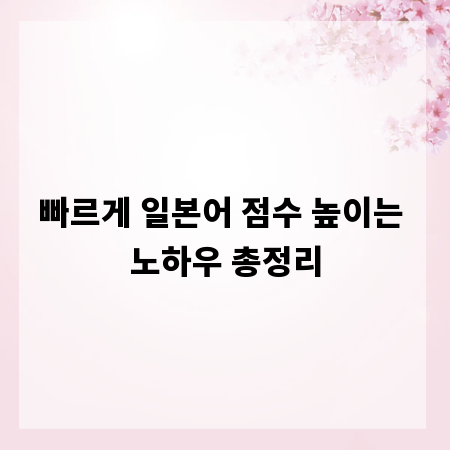 빠르게 일본어 점수 높이는 노하우 총정리