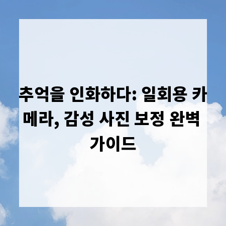 추억을 인화하다: 일회용 카메라, 감성 사진 보정 완벽 가이드