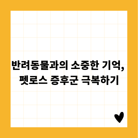 반려동물과의 소중한 기억, 펫로스 증후군 극복하기