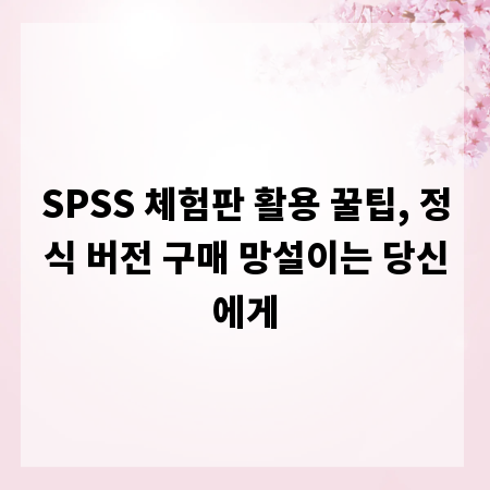SPSS 체험판 활용 꿀팁, 정식 버전 구매 망설이는 당신에게