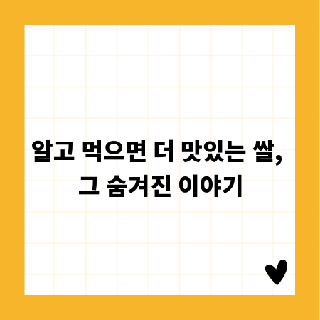 알고 먹으면 더 맛있는 쌀, 그 숨겨진 이야기