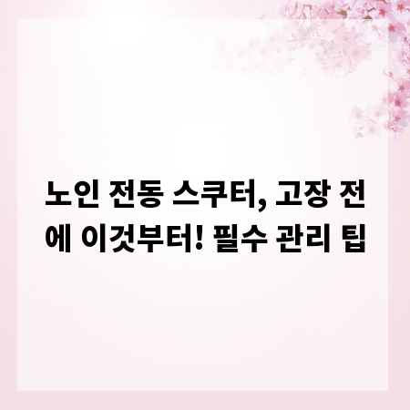 노인 전동 스쿠터, 고장 전에 이것부터! 필수 관리 팁