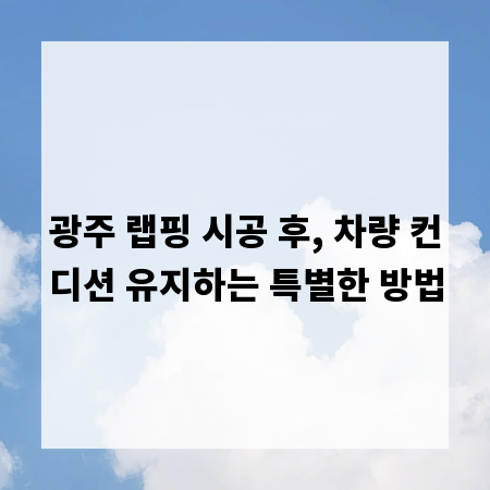광주 랩핑 시공 후, 차량 컨디션 유지하는 특별한 방법
