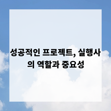 성공적인 프로젝트, 실행사의 역할과 중요성