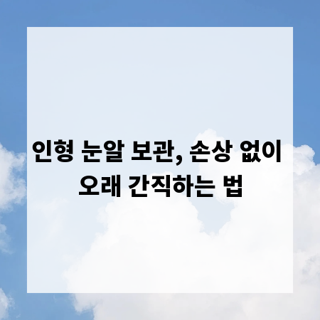 인형 눈알 보관, 손상 없이 오래 간직하는 법