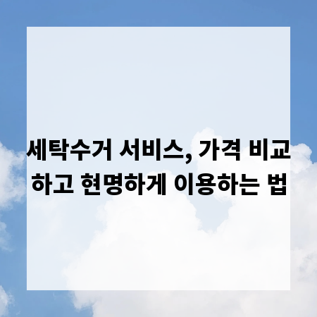 세탁수거 서비스, 가격 비교하고 현명하게 이용하는 법