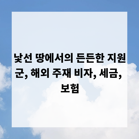 낯선 땅에서의 든든한 지원군, 해외 주재 비자, 세금, 보험
