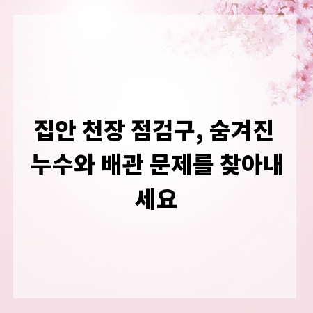 집안 천장 점검구, 숨겨진 누수와 배관 문제를 찾아내세요