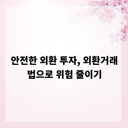 안전한 외환 투자, 외환거래법으로 위험 줄이기