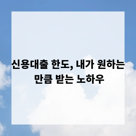 신용대출 한도, 내가 원하는 만큼 받는 노하우