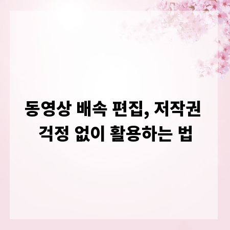 동영상 배속 편집, 저작권 걱정 없이 활용하는 법