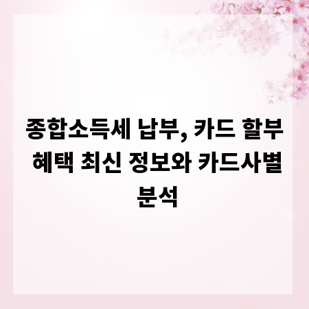 종합소득세 납부, 카드 할부 혜택 최신 정보와 카드사별 분석