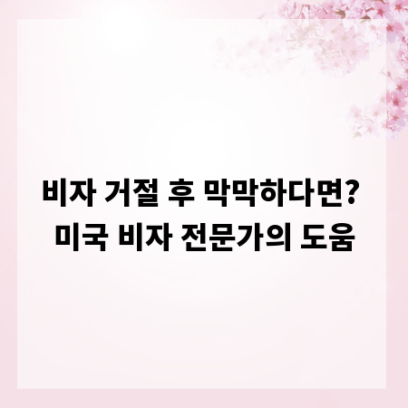 비자 거절 후 막막하다면? 미국 비자 전문가의 도움