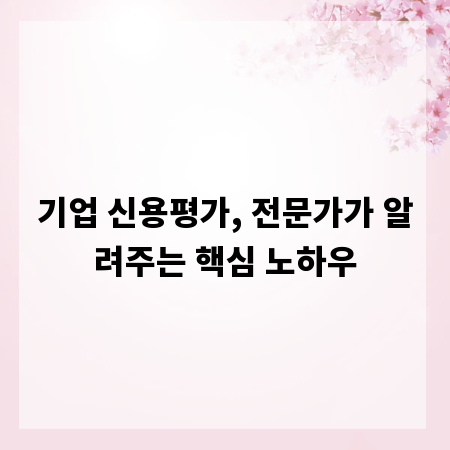 기업 신용평가, 전문가가 알려주는 핵심 노하우