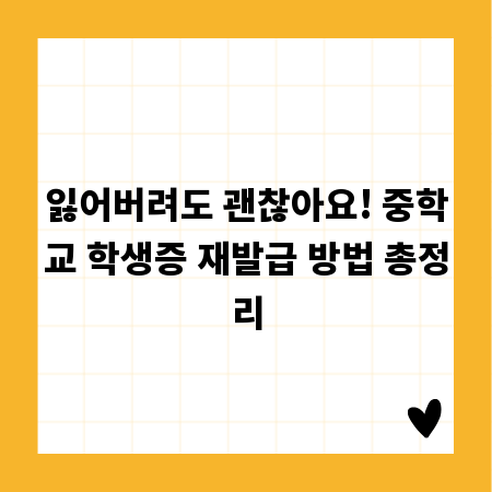 잃어버려도 괜찮아요! 중학교 학생증 재발급 방법 총정리