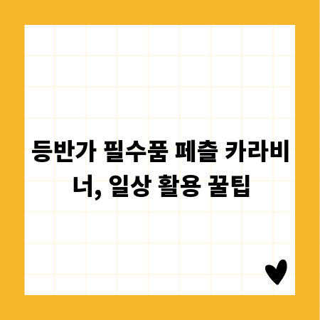 등반가 필수품 페츨 카라비너, 일상 활용 꿀팁