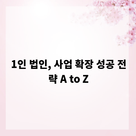 1인 법인, 사업 확장 성공 전략 A to Z