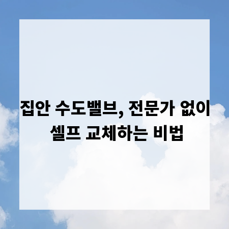 집안 수도밸브, 전문가 없이 셀프 교체하는 비법