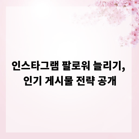 인스타그램 팔로워 늘리기, 인기 게시물 전략 공개