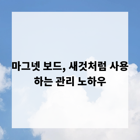 마그넷 보드, 새것처럼 사용하는 관리 노하우