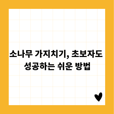 소나무 가지치기, 초보자도 성공하는 쉬운 방법