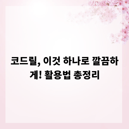 코드릴, 이것 하나로 깔끔하게! 활용법 총정리