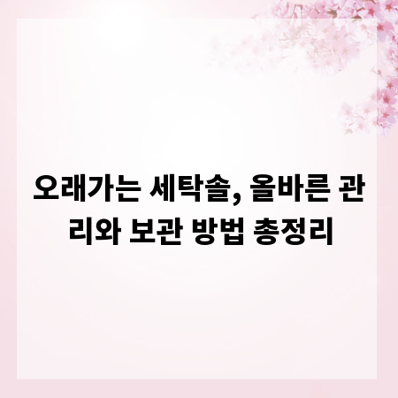 오래가는 세탁솔, 올바른 관리와 보관 방법 총정리