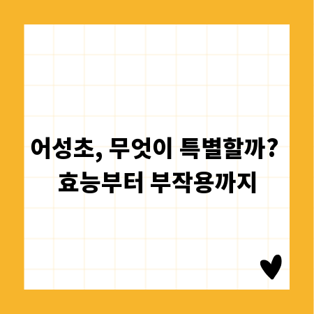 어성초, 무엇이 특별할까? 효능부터 부작용까지