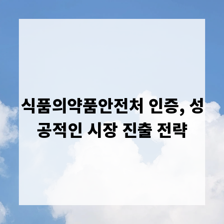 식품의약품안전처 인증, 성공적인 시장 진출 전략
