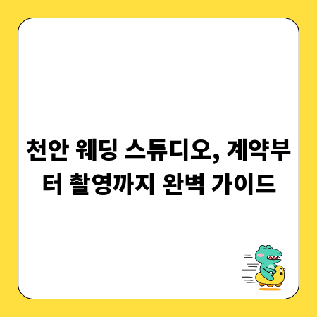 천안 웨딩 스튜디오, 계약부터 촬영까지 완벽 가이드