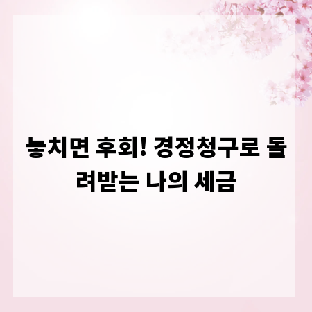 놓치면 후회! 경정청구로 돌려받는 나의 세금