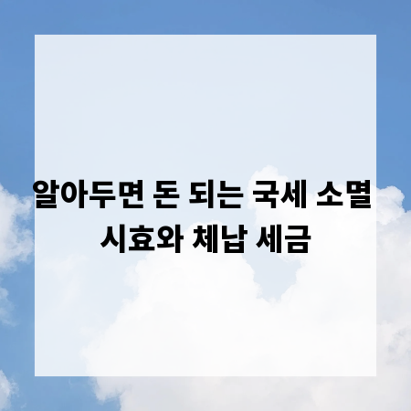 알아두면 돈 되는 국세 소멸 시효와 체납 세금