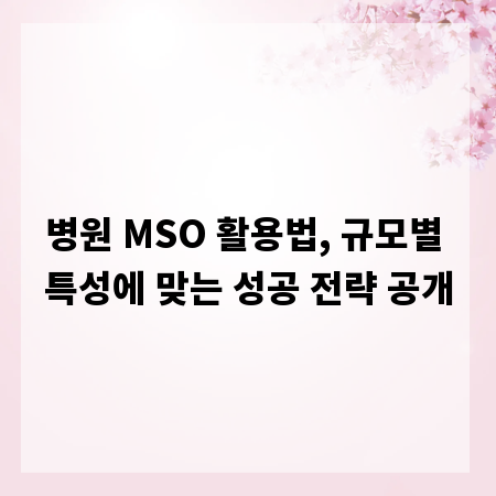 병원 MSO 활용법, 규모별 특성에 맞는 성공 전략 공개