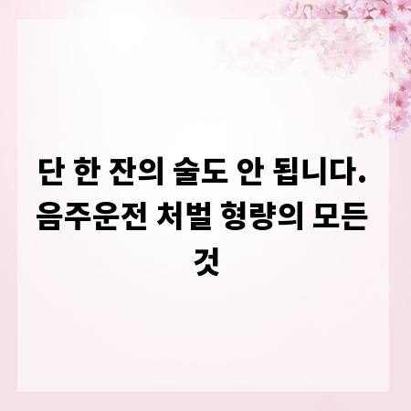 단 한 잔의 술도 안 됩니다. 음주운전 처벌 형량의 모든 것